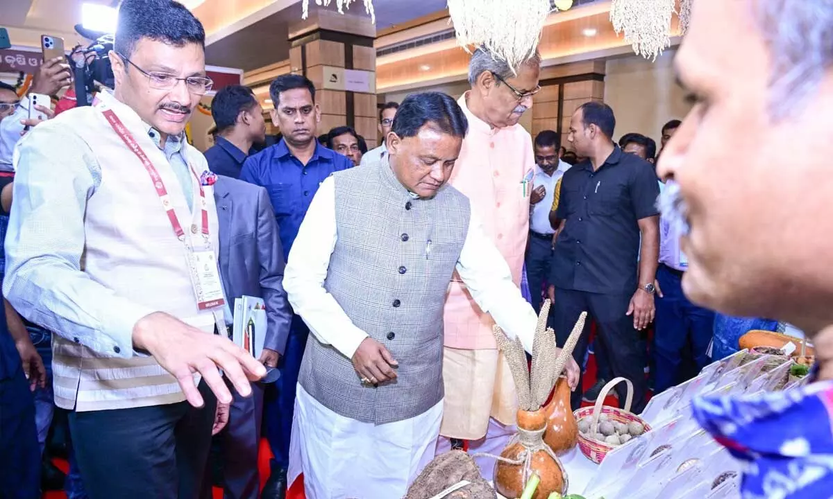 CM appeals to women to offer millet to Goddess Lakshmi