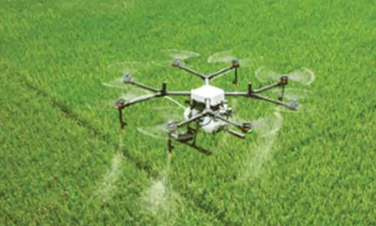 Rs. 35 cr allocated for drone pilot training to farmers