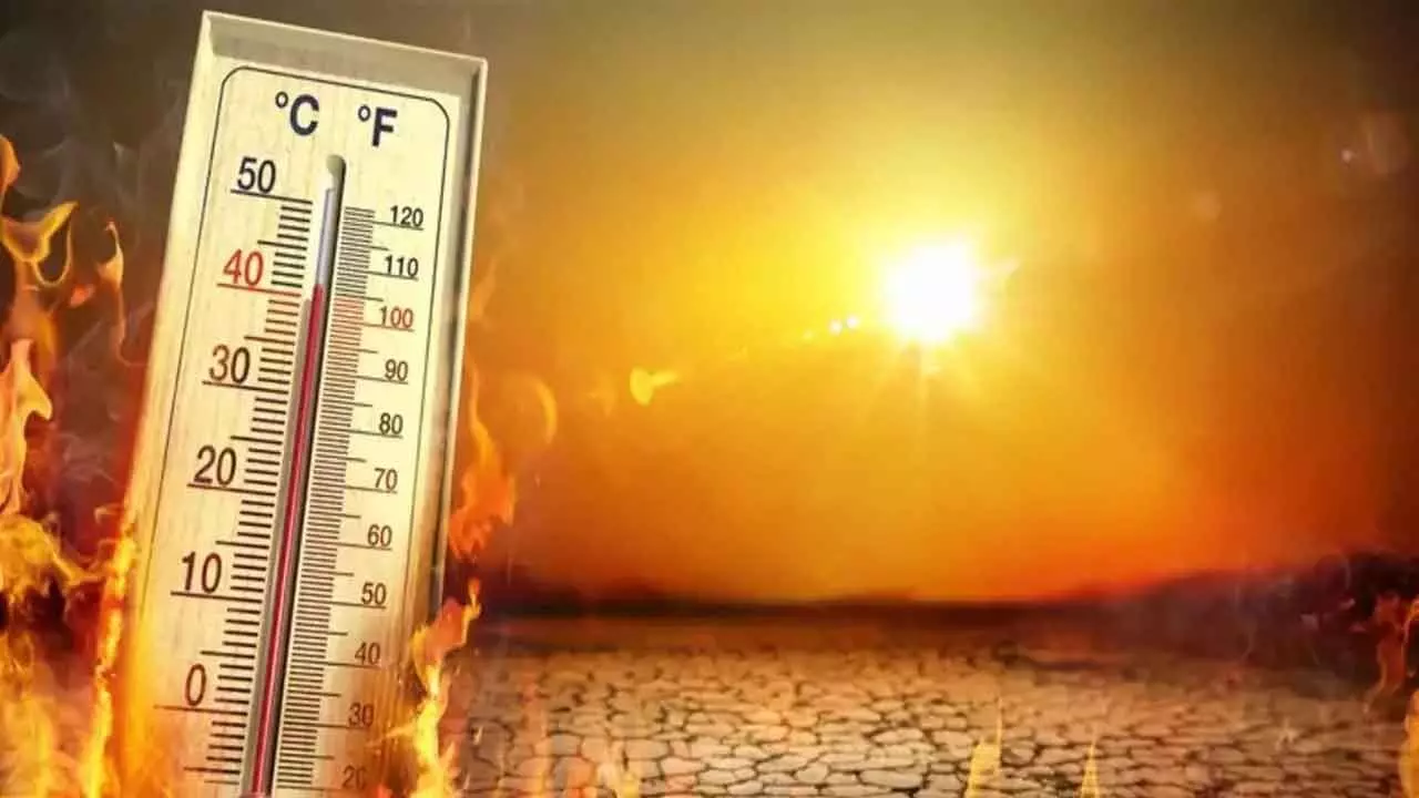 2024 set to be hottest year on record