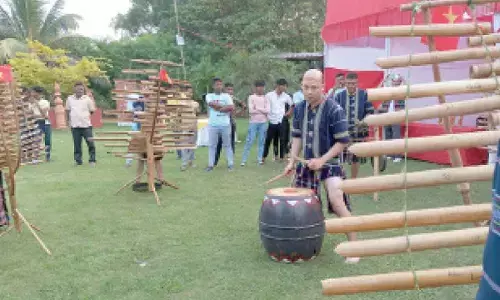 Fusion of beats reverberates at Chilika Shelduck carnival