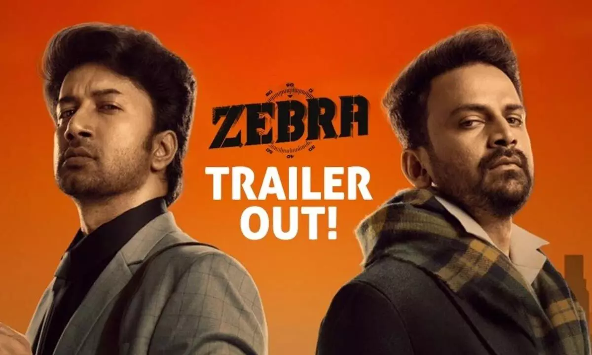 ‘Zebra’ trailer: Twists and turns