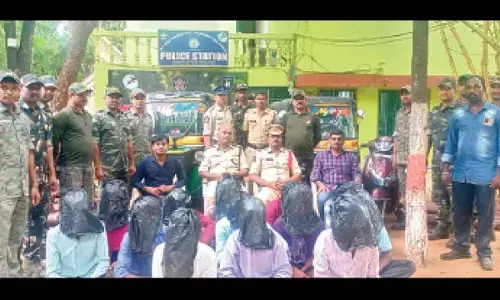 13 held for trying to cut red sanders trees