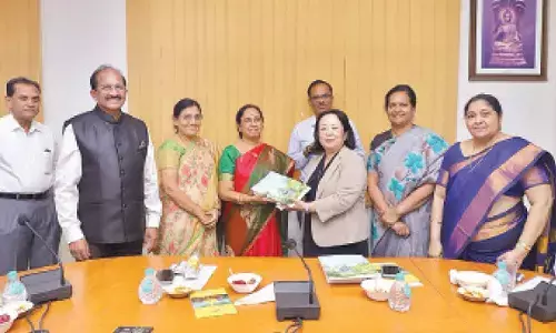 Japan’s Toyama Prefecture forges edu links with AP