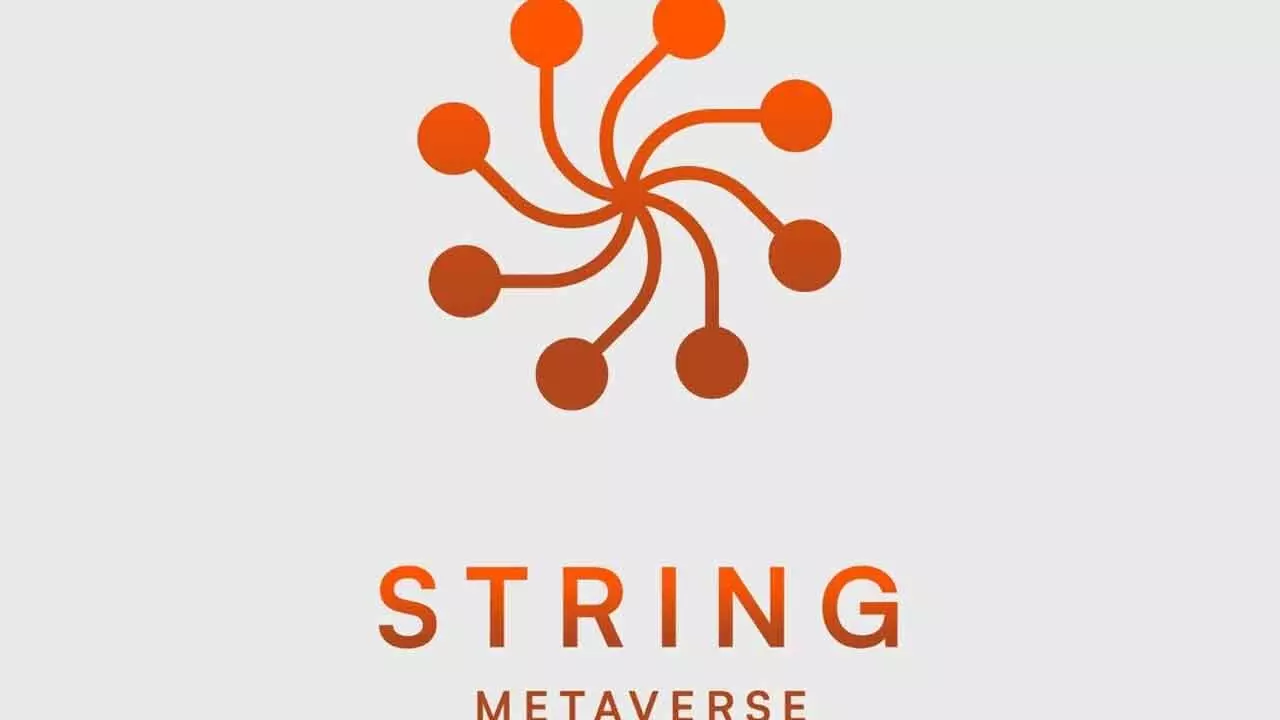 String Metaverse posts Rs 12.13 cr profit in H1/FY25