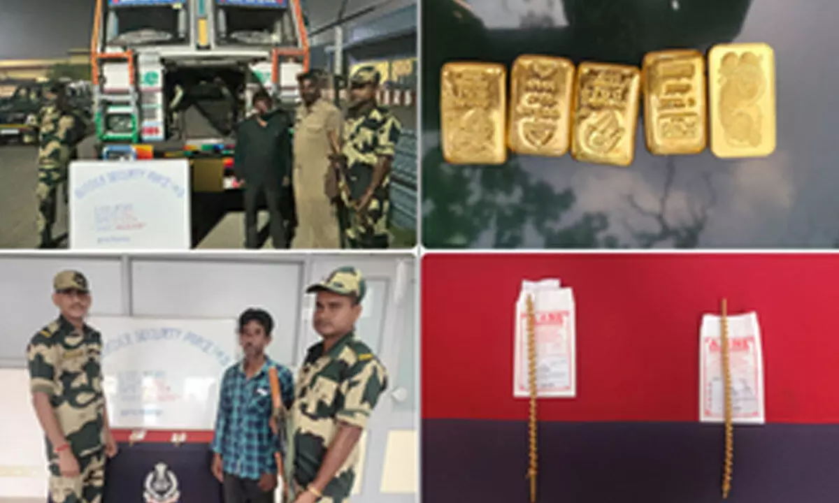 Bengal: BSF seizes over 1 kg gold in two separate incidents