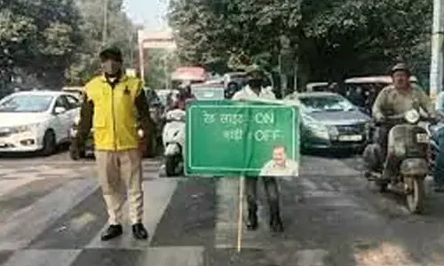 Air Pollution Crisis: LG approves redeployment of Civil Defence volunteers