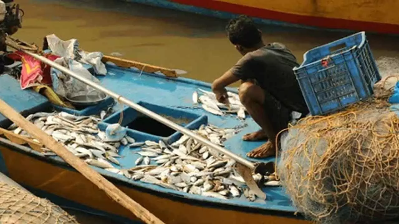 Fishery activities get a big boost in TDP budget