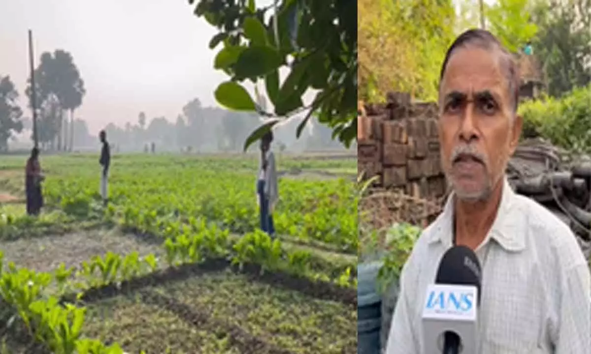 PM Kisan Samman Nidhi scheme bringing smile to Nalanda farmers