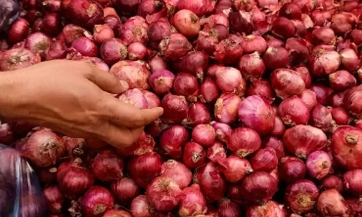 CM Shinde orders stern action against hoarding of onions amid rising prices