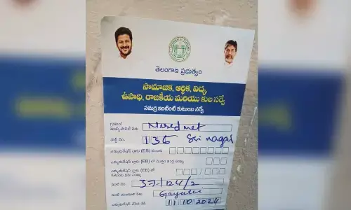 Survey staff turn a blind eye towards apartment dwellers