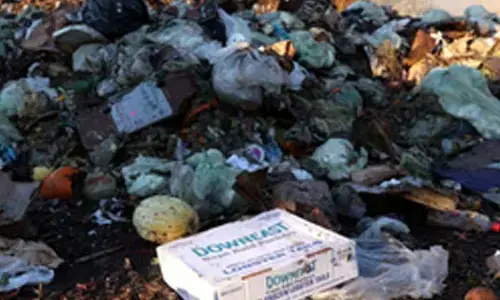 Food waste crisis fuels sustainable practices across APAC food & beverage industry: Report