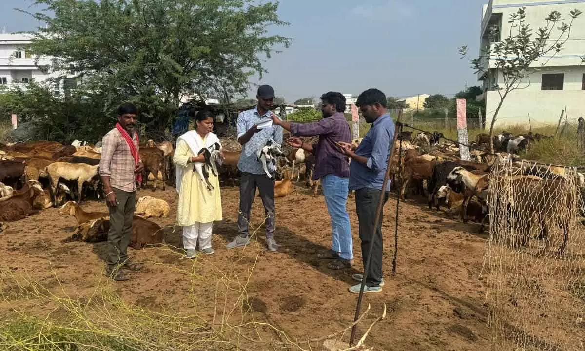 Farmers Must Registered Livestock Details - Veterinary Doctors