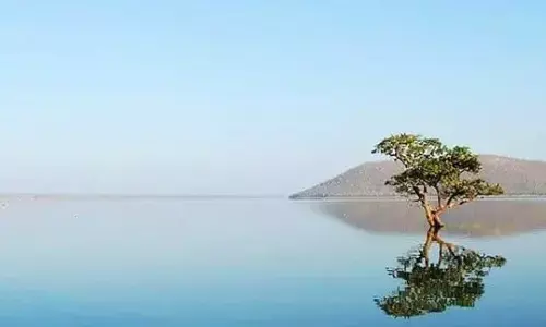 Nexus Select Malls to adopt two lakes