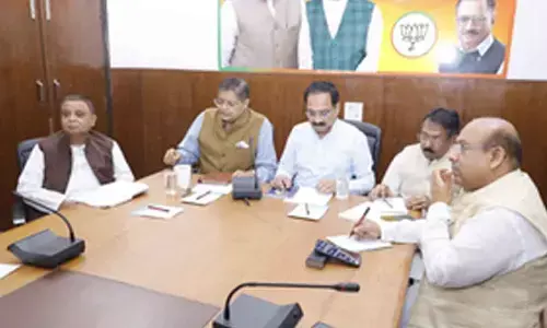 BJP panel to draft poll charge sheet against AAP govt in Delhi