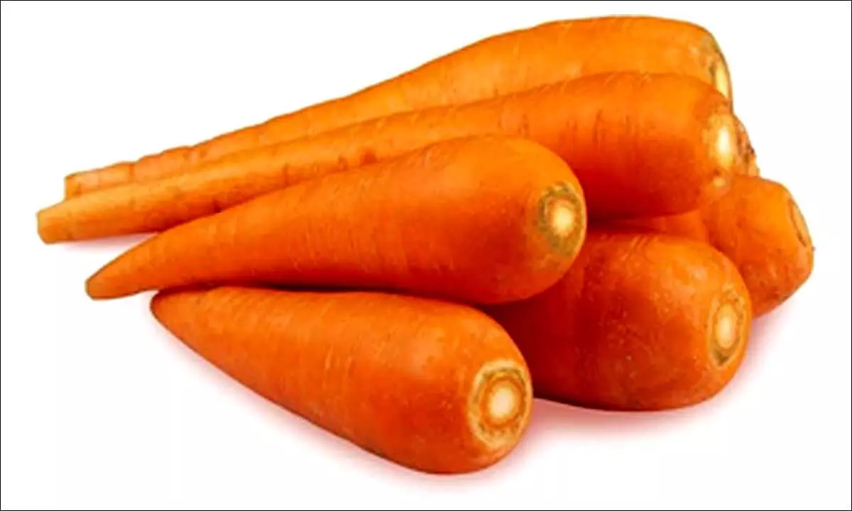 US reports new E. coli outbreak linked to organic carrots