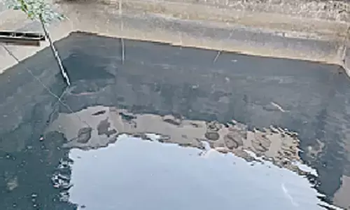 Public Garden stepwell rots in apathy, walkers raise a stink