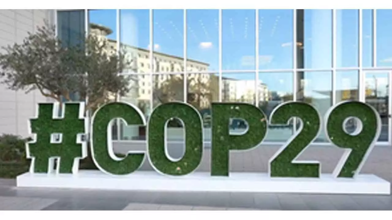 78 NGOs call for climate finance for transition to regenerative farming at COP29