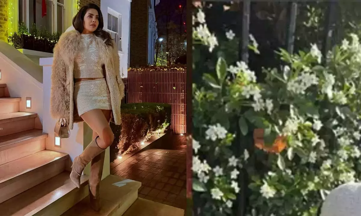 Priyanka Chopra shares heartwarming moment of Malti enjoying Autumn