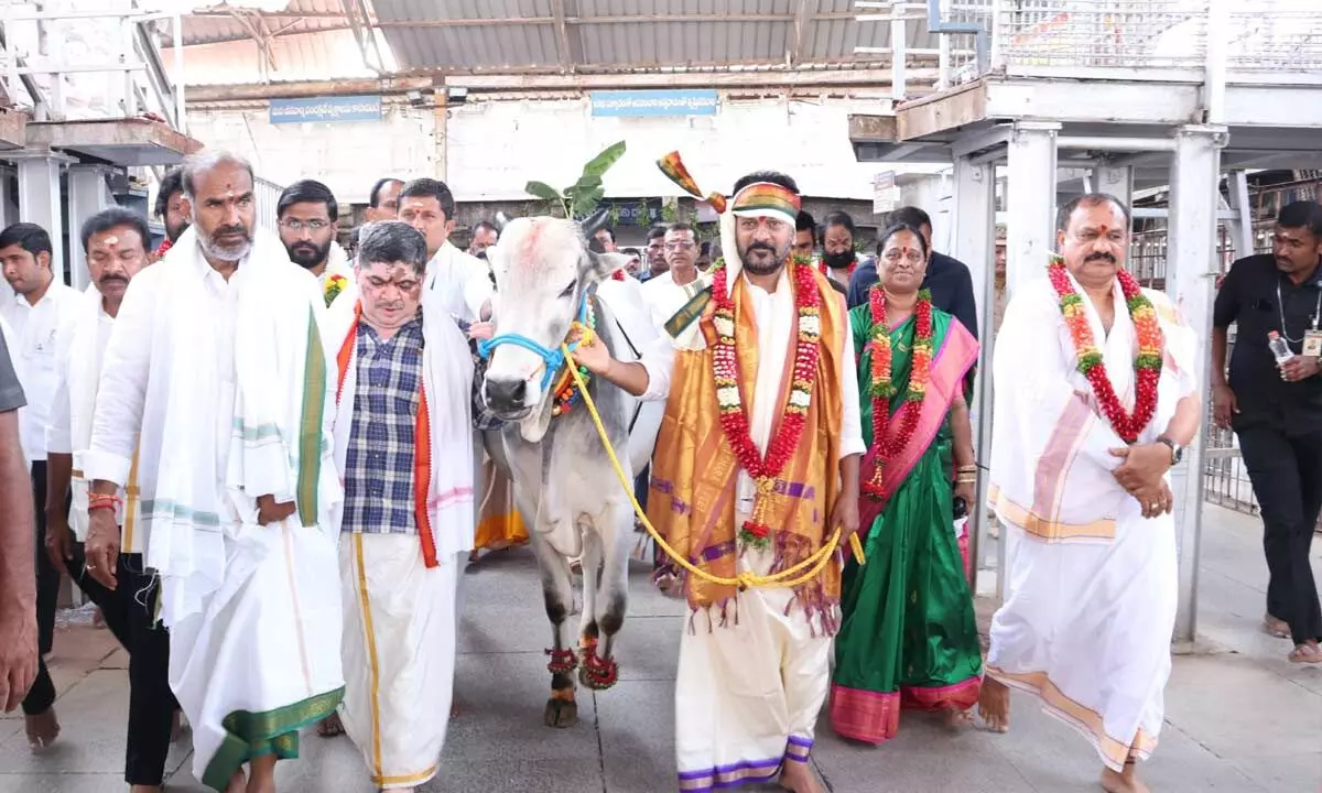 CM A. Revanth Reddy Performs Special Rituals In Vemulawada