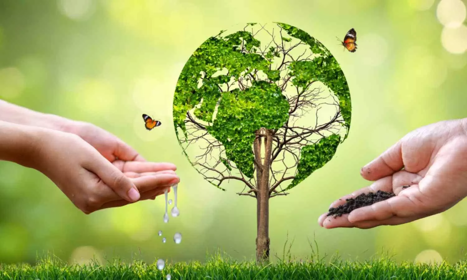 How Individuals Can Contribute to Environmental Conservation Efforts and Make a Difference