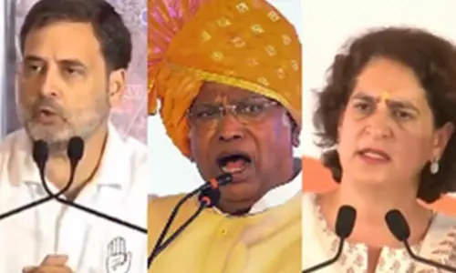 Maha polls: Rahul Gandhi, Kharge urge voters to protect self-respect, constitution