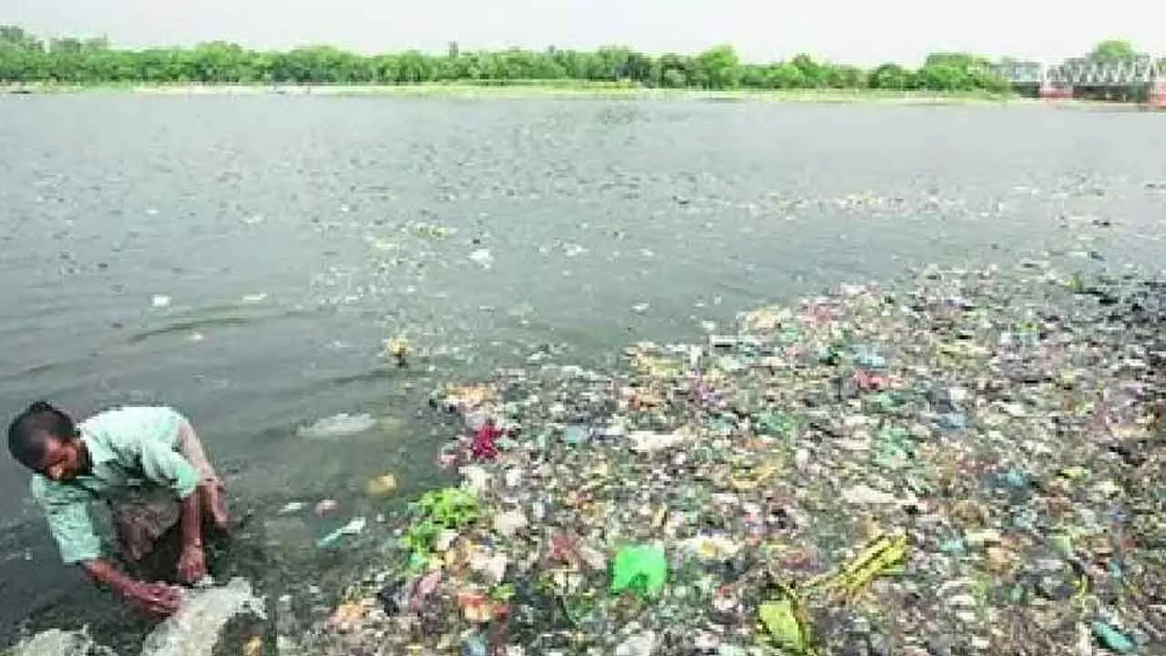 NGT seeks details of waste removal from Yamuna river