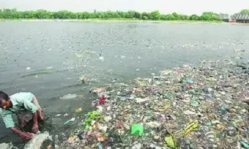 NGT seeks details of waste removal from Yamuna river