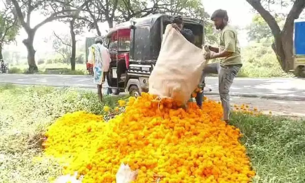 Farmers throw marigold flowers on road due to drop in price