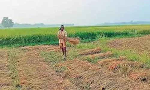 Paddy procurement made easy in AP