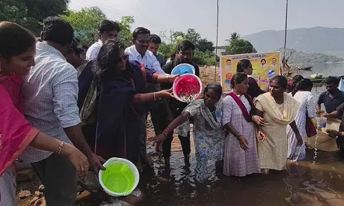 5 lakh fishlings released into Tandava reservoir