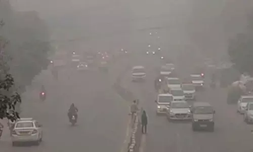 Can air pollution affect weight gain and hormonal health?