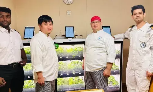 Synergy Marine Group Champions Onboard AI Agriculture for Healthier Crews