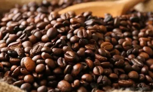 Ethiopia launches national coffee platform to maximise earnings