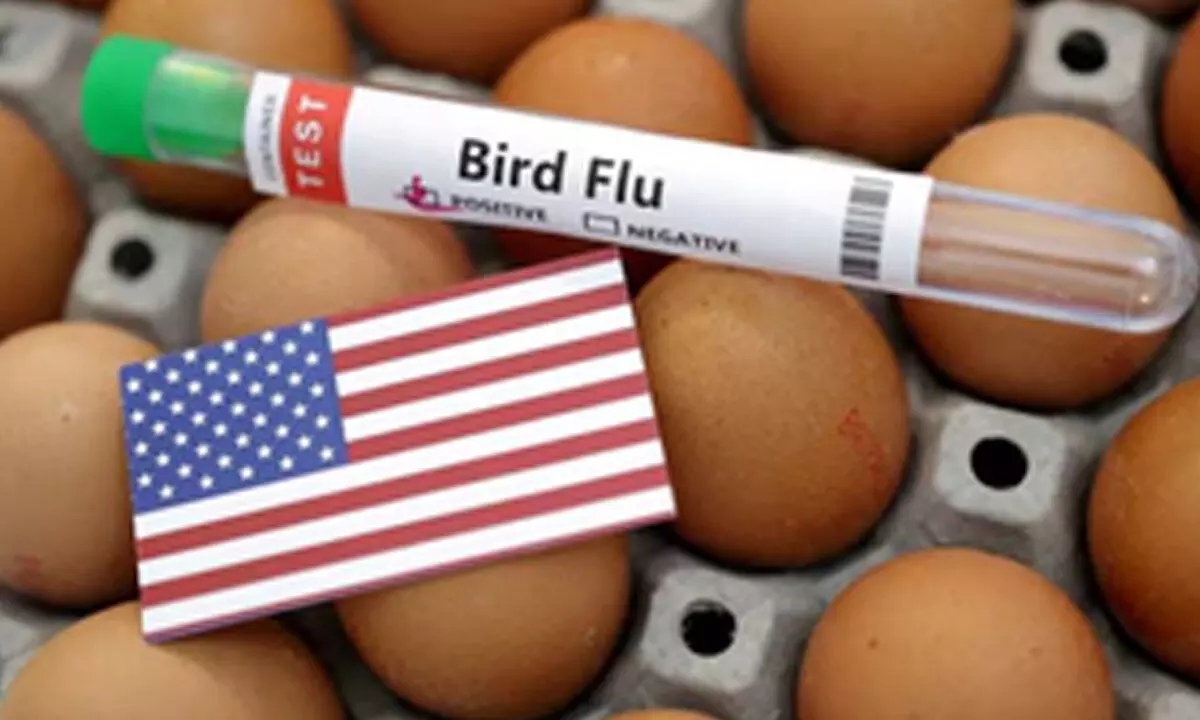 US CDC confirms H5N1 bird flu infection in child in California