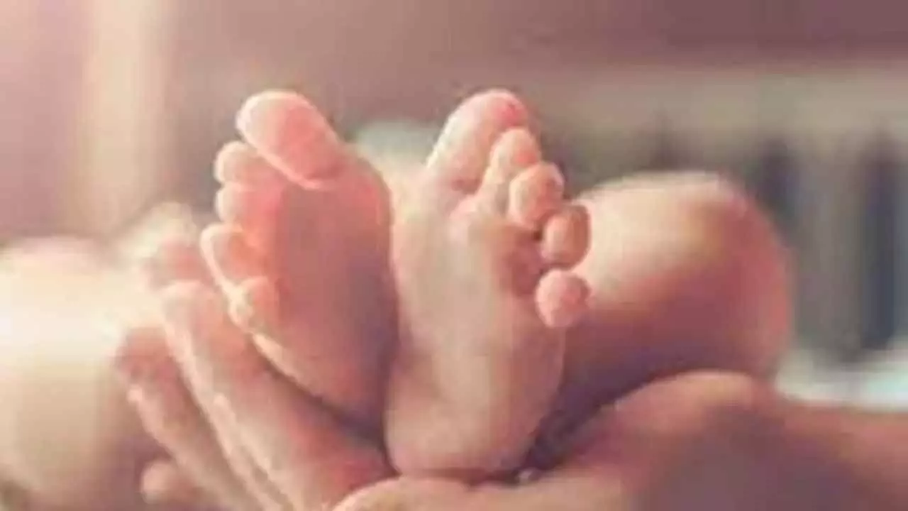 Sold newborn traced in Raipur