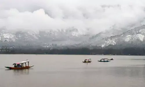 Famous Chinar boat race organised in J&Ks Dal Lake