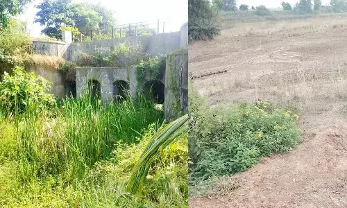 A canal covered with bushes and weeds at Survaram village in Jalumuru mandal