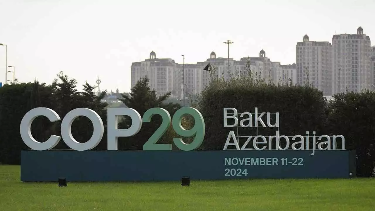 COP 29: Rich Nations Have Their Say