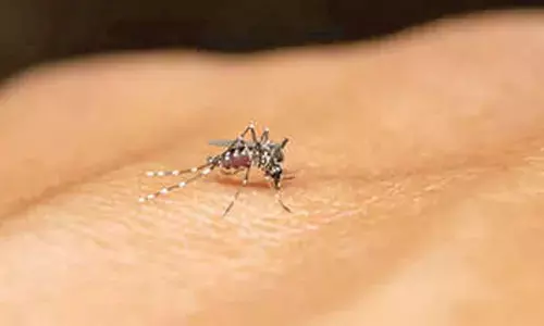 Rajasthan cop succumbs to Dengue on way to hospital