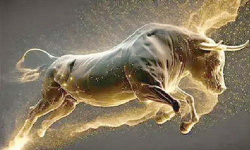 Dalal St hogs limelight as BJP shines in Maha