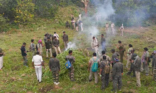 Odisha police launch drive to eliminate ganja cultivation