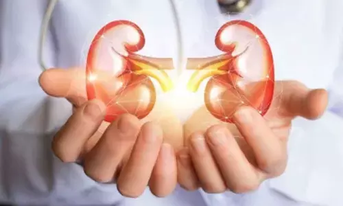 Weight loss, diabetes drugs can also protect kidneys: Study