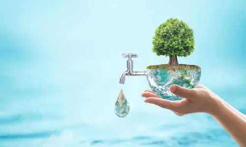 Top 5 Plumbing Tips for Better Water Conservation