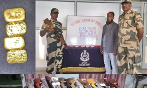 Bengal: BSF apprehends Bangladeshi smuggler with gold biscuits, seizes consignment of air rifles