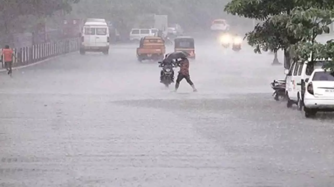 Nellore dist witnesses widespread rains