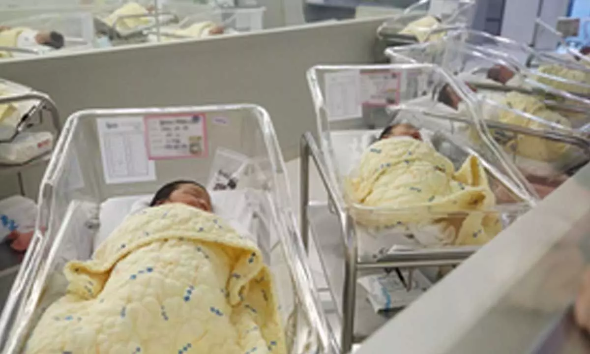 Childbirths in South Korea rises by largest margin in 14 years in September