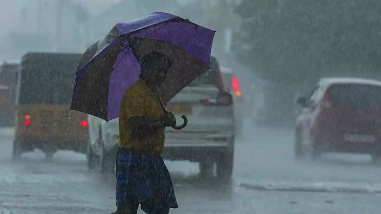 Rains continue in Tamil Nadu, standing crops hit in Cauvery delta areas