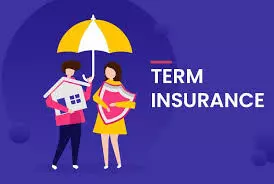 Term Insurance: A Comprehensive Guide to Affordable Life Coverage