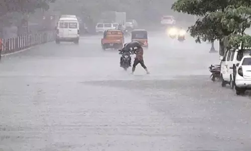 Nellore dist witnesses widespread rains