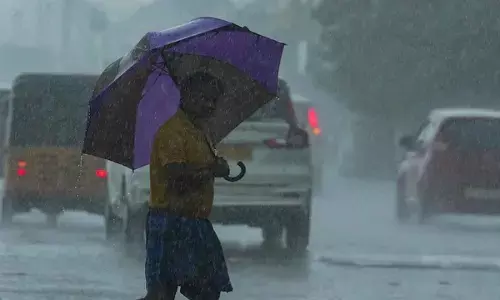 Rains continue in Tamil Nadu, standing crops hit in Cauvery delta areas